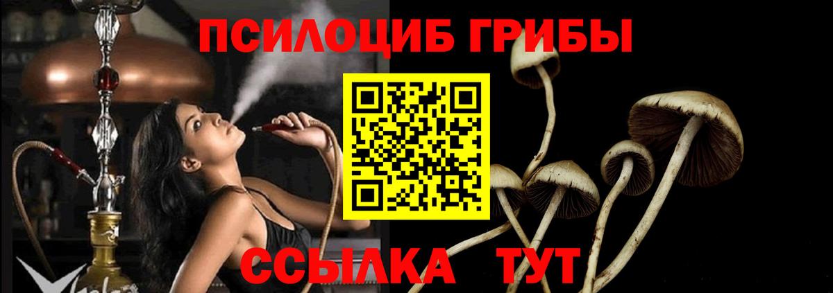 Псилоцибиновые грибы MAGIC MUSHROOMS Назарово